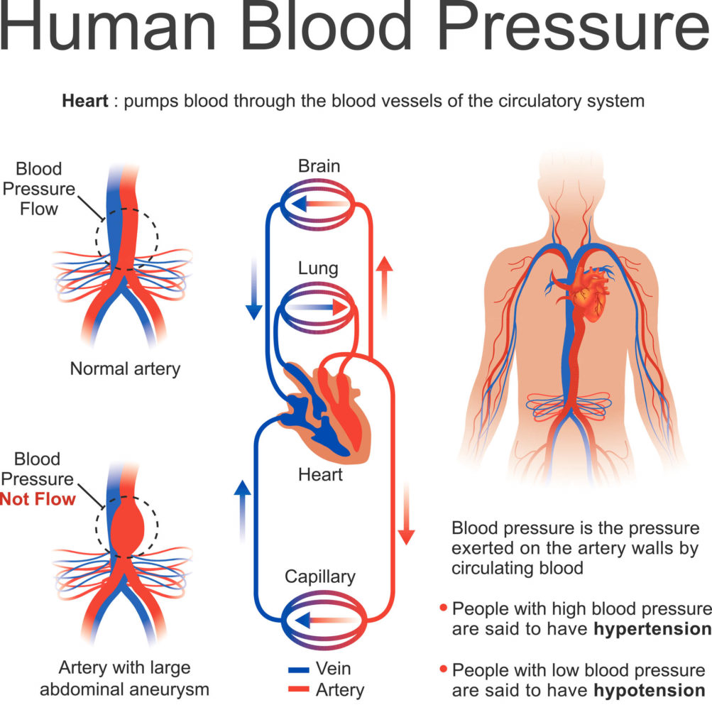 Human blood online pressure chart